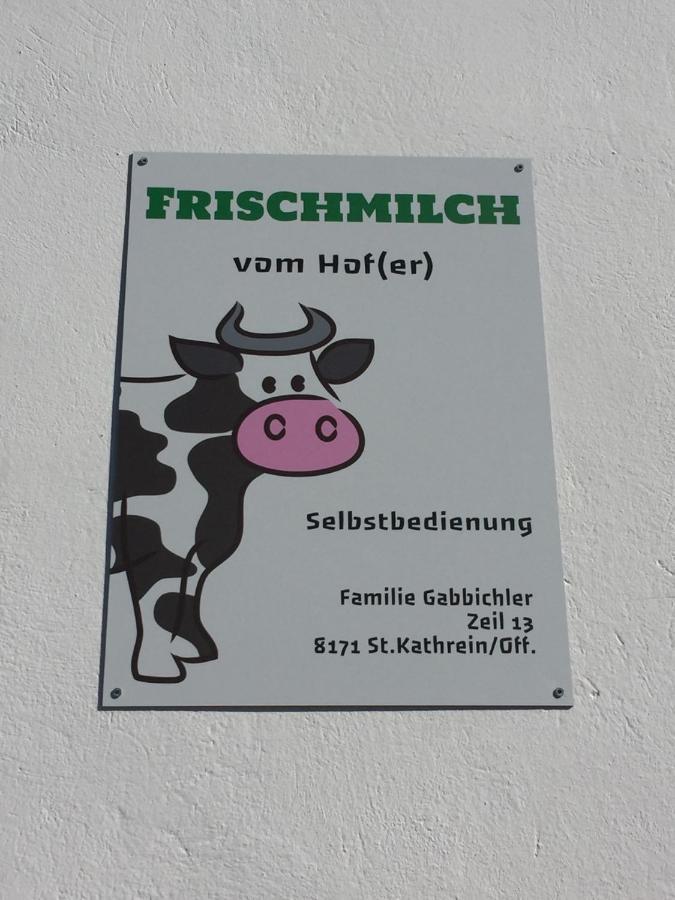 Apartmán Hofer Familie Gabbichler Sankt Kathrein am Offenegg Exteriér fotografie