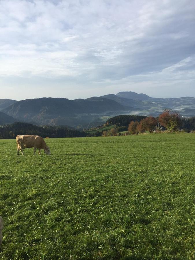 Apartmán Hofer Familie Gabbichler Sankt Kathrein am Offenegg Exteriér fotografie